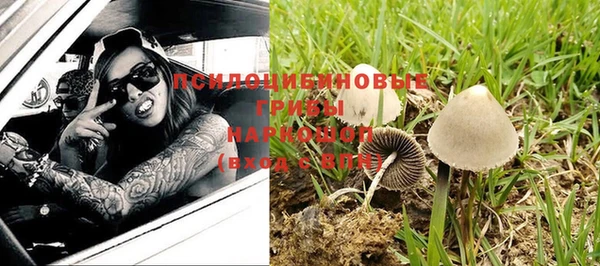 не бодяженный Надым