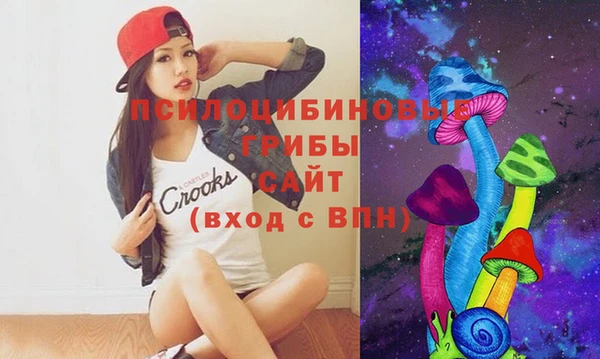 не бодяженный Надым