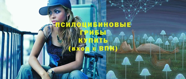не бодяженный Надым